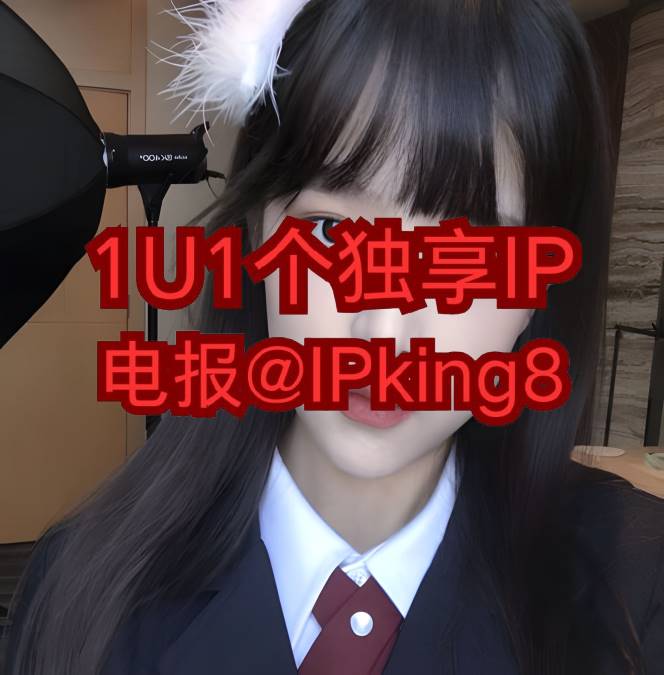 1U1条独享IP|低价住宅ip|跨境电商静态ip|TK原生IP|撸毛ip|批量养号IP tweet media