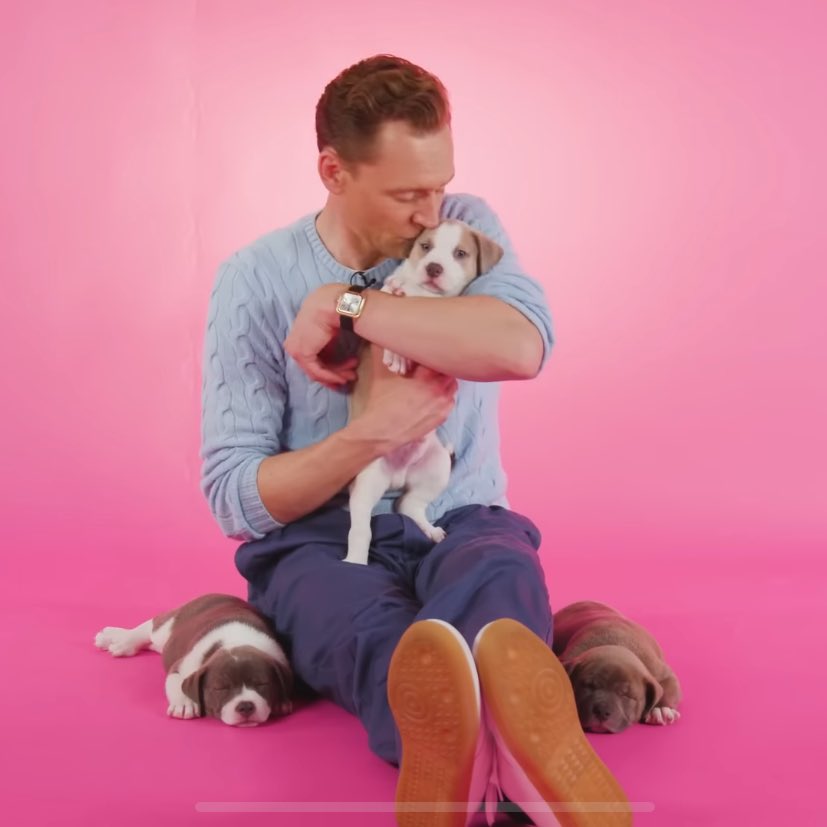 vincz501's tweet image. this is healing me rn