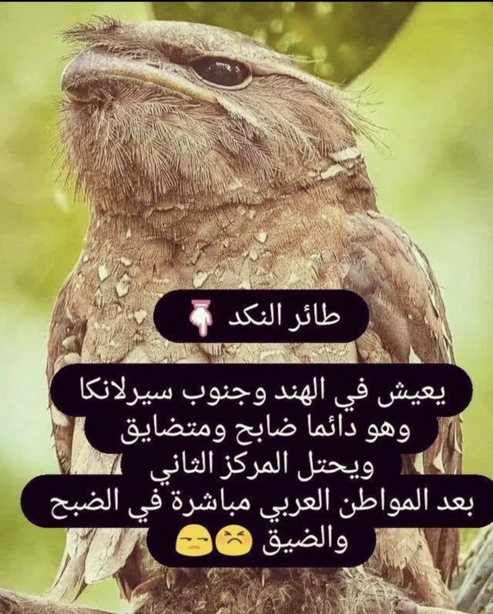 لاحول ولاقوة الا بالله العلي العظيم