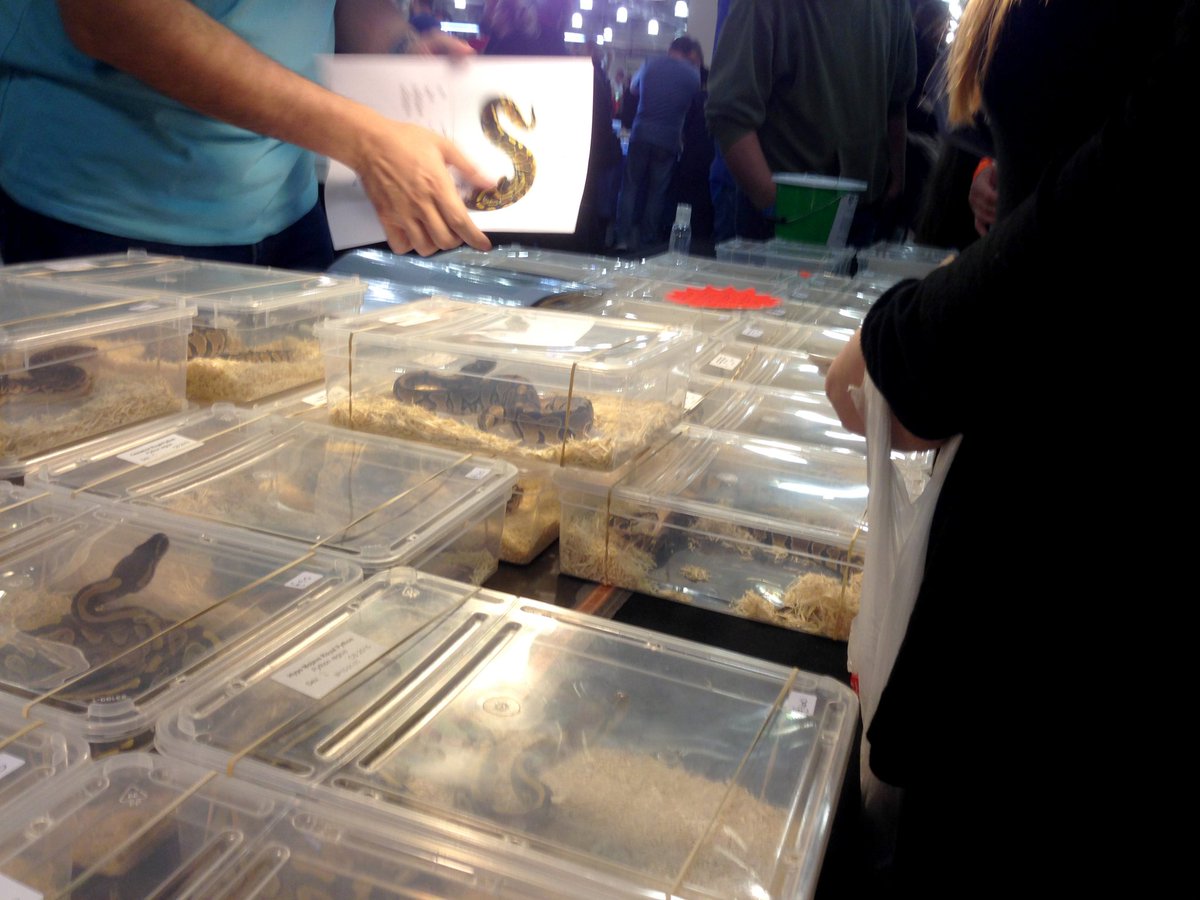 Animal Protection Agency tweet media