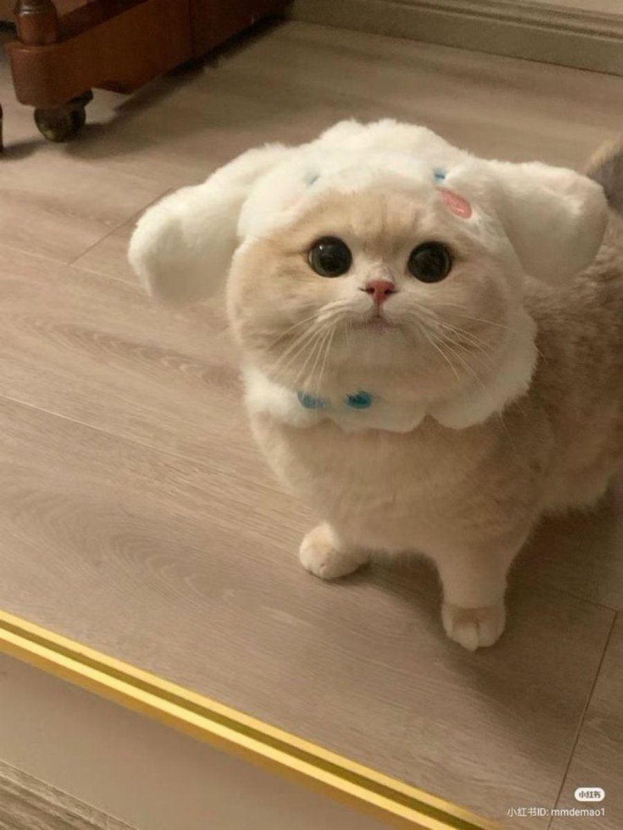 쟤🍑 (@p_jh_l) on Twitter photo 