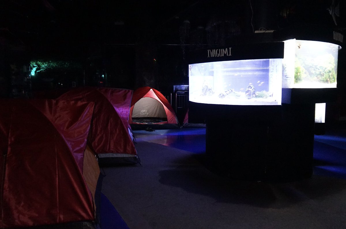 Akarui Cha tweet media