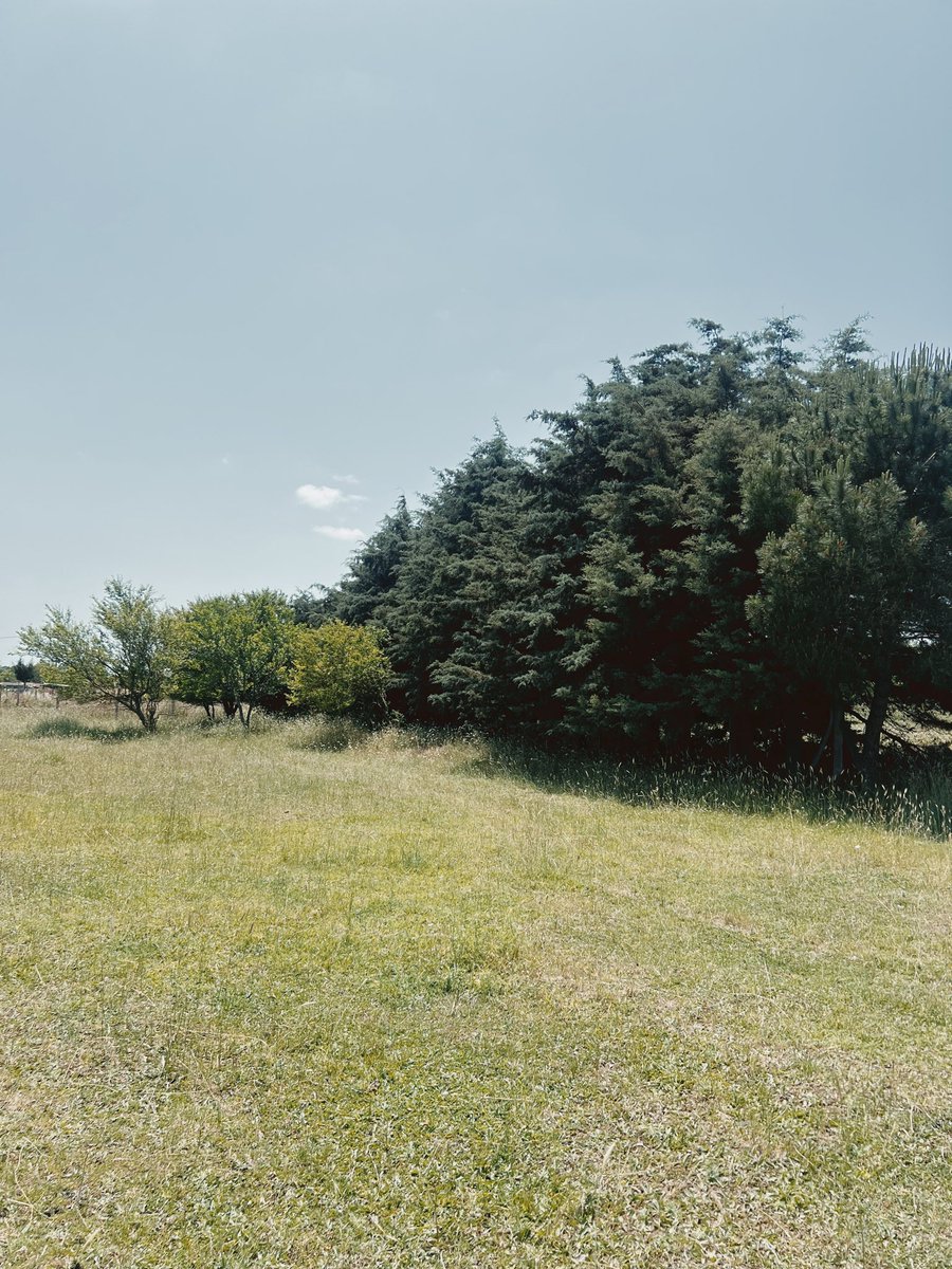 Günaydın ☀️ 
Gün böyle hissettirsin :)