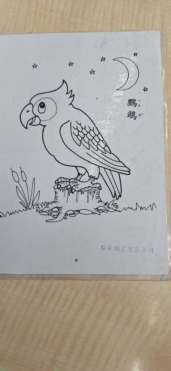 AbdiazizHaaruun's tweet photo. During my visit to Yingge Ceramics Street in Taipei,  🇹🇼 Taiwan, I had the wonderful chance to try my hand as an artist — sketching what turned into a vibrant and joyful parrot bird; A creative and memorable experience full of fun! #Taipei #Ceremics #Yingge #Artist #Somaliland https://t.co/4r7aopBFI6