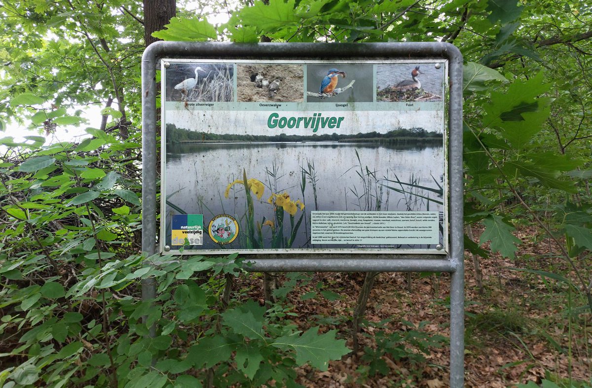 Vogelkijkwand Goorvijver, Retie (Bel)

<a href="/BoswachterFrans/">Frans Kapteijns</a> <a href="/vogelnieuws/">Vogelbescherming NL</a> <a href="/waarneming/">Waarneming.nl</a> <a href="/waarnemingenbe/">Waarnemingen.be</a> <a href="/Sovon/">Sovon Vogelonderzoek Nederland</a> <a href="/MijnNatuurpunt/">Natuurpunt</a>