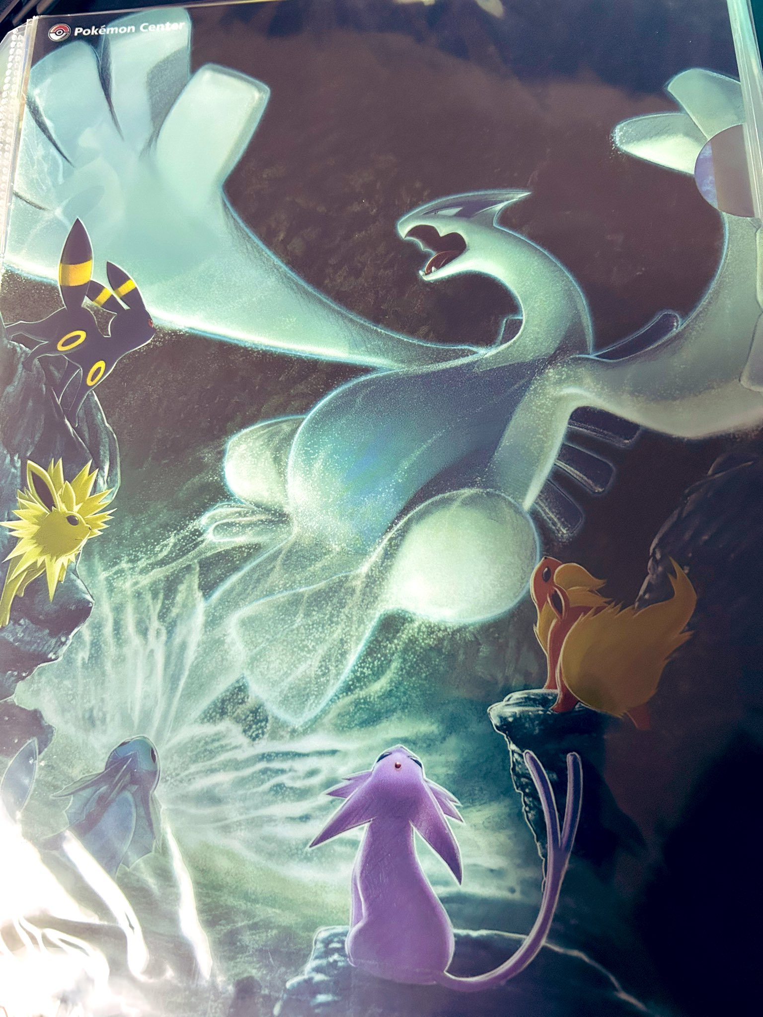 ポケモンカード カイオーガ グラードン 有田満弘 コレクション