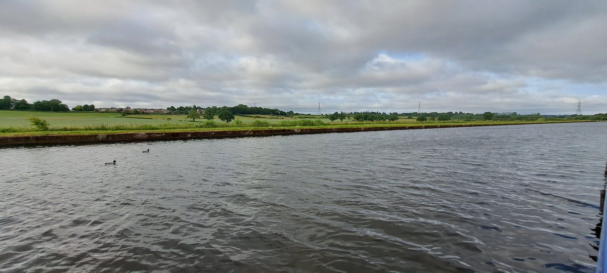 Morning peeps 👋
Have a great day 💚🌺