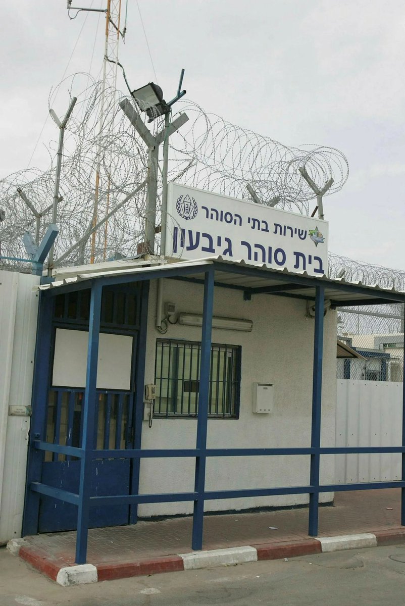 Rima Hassan refuse de signer les documents d’expulsion israéliens.
Résultat : 96 heures de détention en plus avant son renvoi.
Elle tient tête jusqu’au bout. Elle est incroyable. #RimaHassan