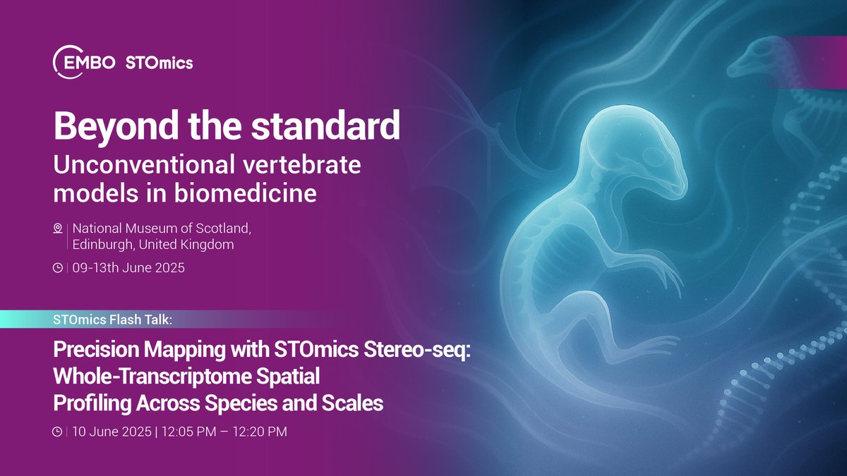 ST_Omics's tweet image. ⏰Catch our flash talk at #EMBOWorkshop 2025 today 12:05 PM! “Precision Mapping with #STOmics Stereo-seq: Whole-Transcriptome Spatial Profiling Across Species and Scales” Visit STOmics booth for #SpatialOmics insights! #Stereoseq