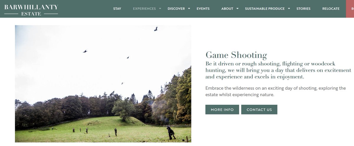 blood_business's tweet image. Killing birds has become so 'normalised' that the owners of Barwhillanty Estate #Scotland who "aspire to be conservationists" perhaps really do believe their clients "reconnect with nature" when they sell them the local #Woodcock to shoot. We don't.
bloodbusiness.info/business/barwh…