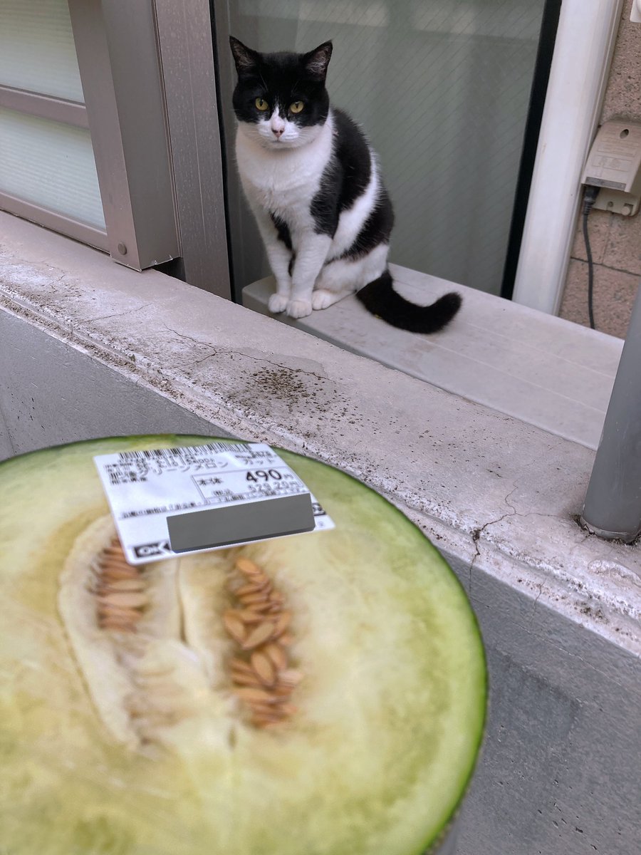 ぴゆち🍡 tweet media