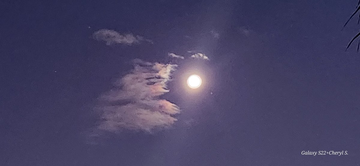 CherScheff's tweet photo. Moon and stars this Tuesday evening, and that cloud.
Post sunset sky.
#Sydneyskies
Balcony view.
#RisingMoon https://t.co/jZpZIk38dt