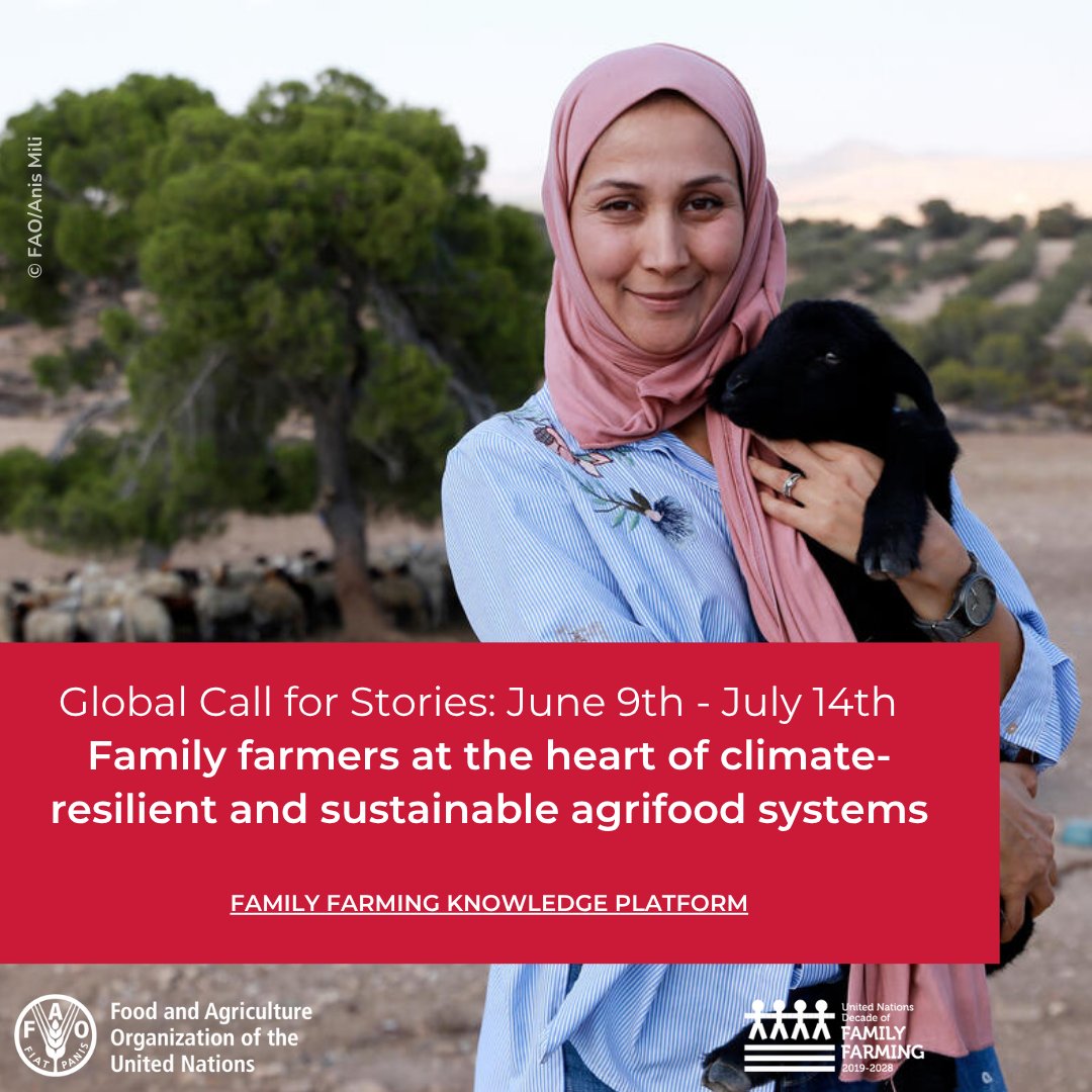 Renata Mirulla (@renataelena) on Twitter photo Call for stories: Family farmers at the heart of climate-resilient and sustainable agrifood systems
Applications are open now! 🗓️by 14 July
Apply here 👉 tinyurl.com/yazrvfft
#FamilyFarming #ClimateChange <a href="/FAOFFKP/">FAO Family Farming</a> <a href="/FAOclimate/">FAO Climate Change & Biodiversity</a> <a href="/EvalforEarth/">EvalforEarth</a> Call for stories: Family farmers at the heart of climate-resilient and sustainable agrifood systems
Applications are open now! 🗓️by 14 July
Apply here 👉 tinyurl.com/yazrvfft
#FamilyFarming #ClimateChange <a href="/FAOFFKP/">FAO Family Farming</a> <a href="/FAOclimate/">FAO Climate Change & Biodiversity</a> <a href="/EvalforEarth/">EvalforEarth</a>