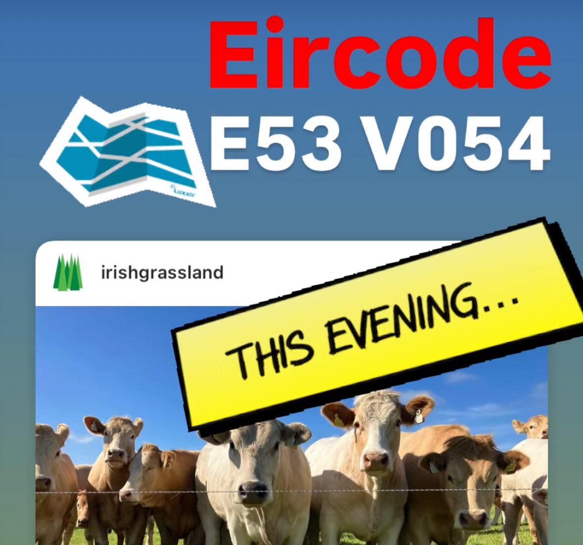 Irish Grassland Association CLG (IGA) (@irishgrassland) on Twitter photo Beef event tonight Tipperary
📌 Eircode E53V054
www.irishgrassland. Ie for more details
Sponsored by <a href="/fbd_ie/">FBD Insurance</a> Beef event tonight Tipperary
📌 Eircode E53V054
www.irishgrassland. Ie for more details
Sponsored by <a href="/fbd_ie/">FBD Insurance</a>