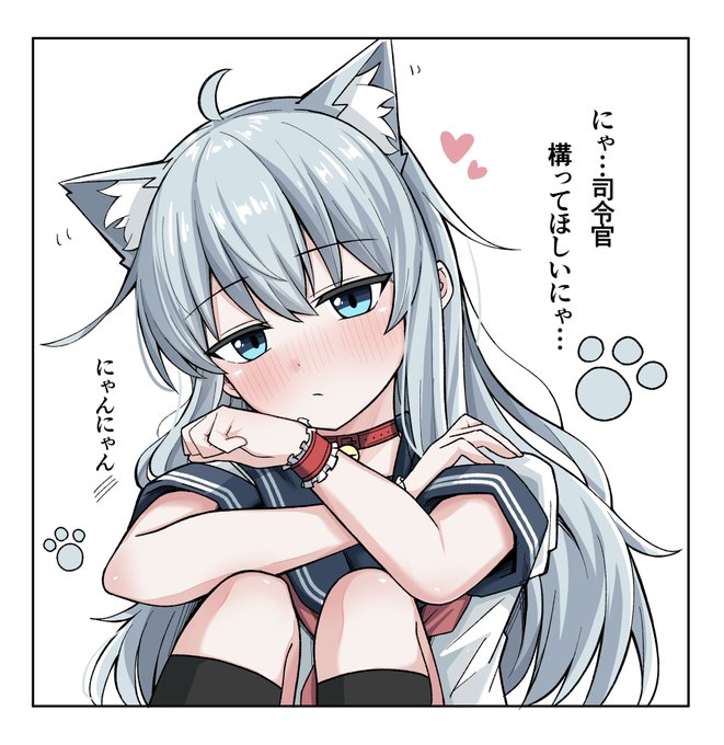 構って欲しい猫響ﾁｬﾝ😺 | にゃんざい先生X土曜西て-23ab さんの