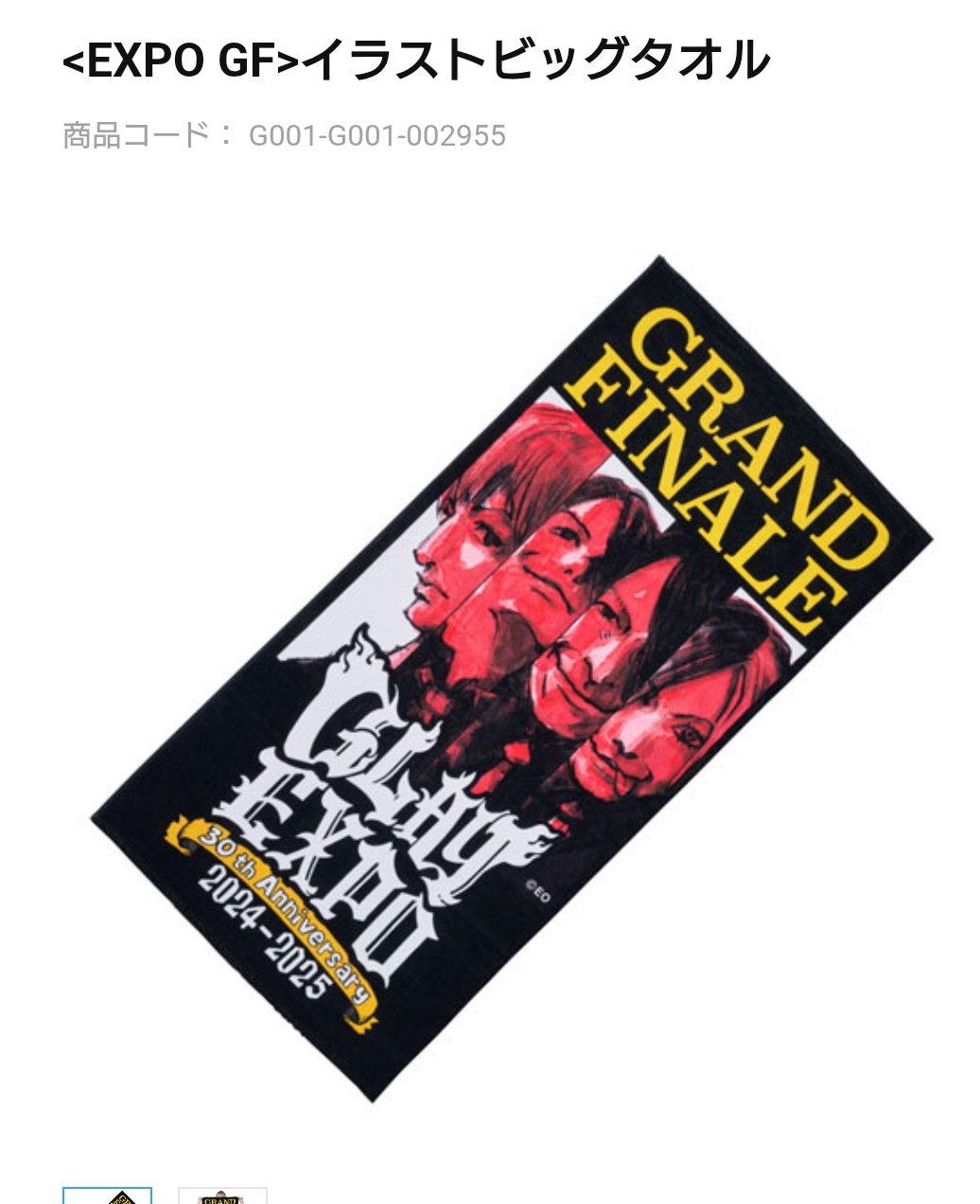 GLAY <EXPO GF>GRAND FINALE イラストTシャツ L（M!DOR