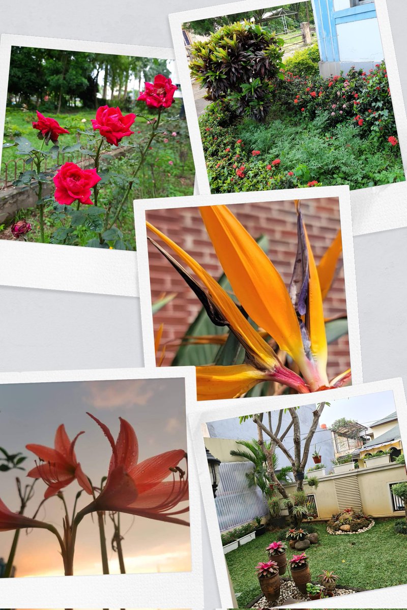 Sumanta Das (@isumantadas) on Twitter photo 