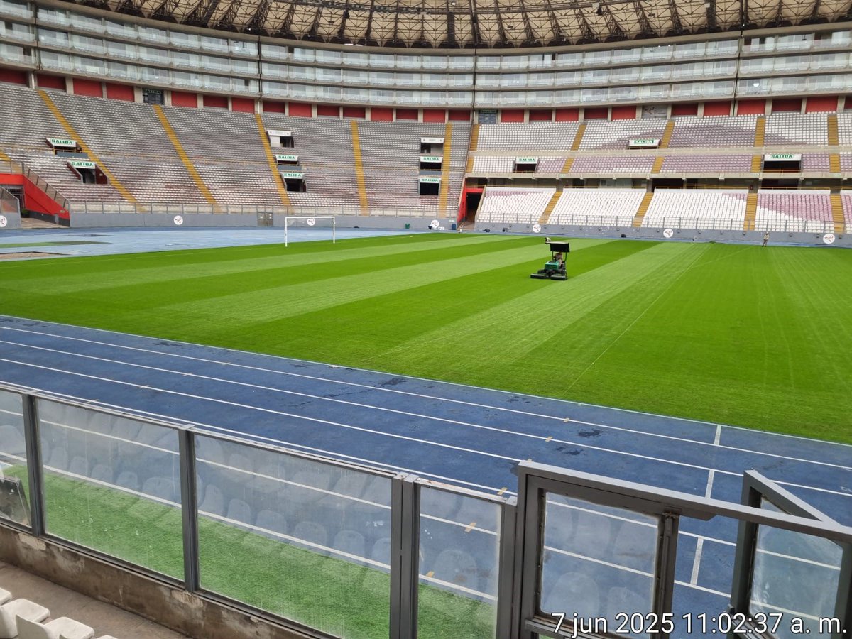 SemillasFitoTG's tweet photo. 13 days after seeding with perennial ryegrass #Ringles
📍 National Stadium of Peru
In less than two weeks, it ensures fast coverage, intense green color, and a uniform appearance
Selected by Rutgers University, Ringles has excellent wear tolerance and is ideal for #sportsfield https://t.co/yppeMkqWwa