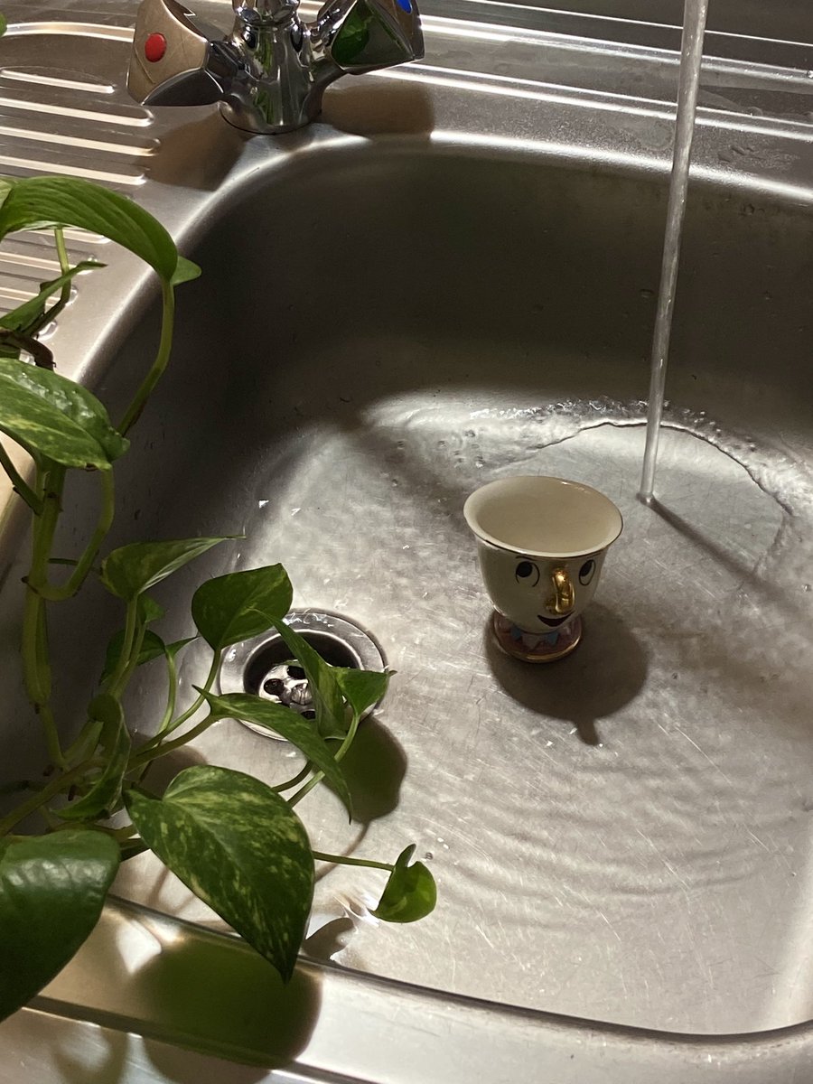 рука не поднимается закрывать его в посудомоечной машине