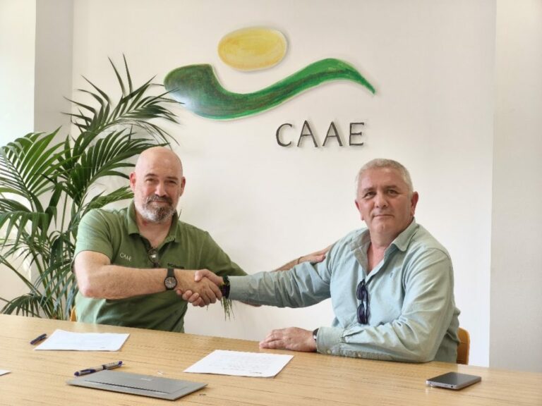 LOS ÁRBOLES MÁGICOS Y CAAE FIRMAN UN ACUERDO PARA CERTIFICAR PARQUES Y JARDINES ECOSOSTENIBLES

👏El acuerdo permitirá aplicar estándares reconocidos de sostenibilidad a la gestión y diseño de espacios verdes, desde jardines históricos hasta nuevos desarrollos urbanos. 🏙️

🖋️Los