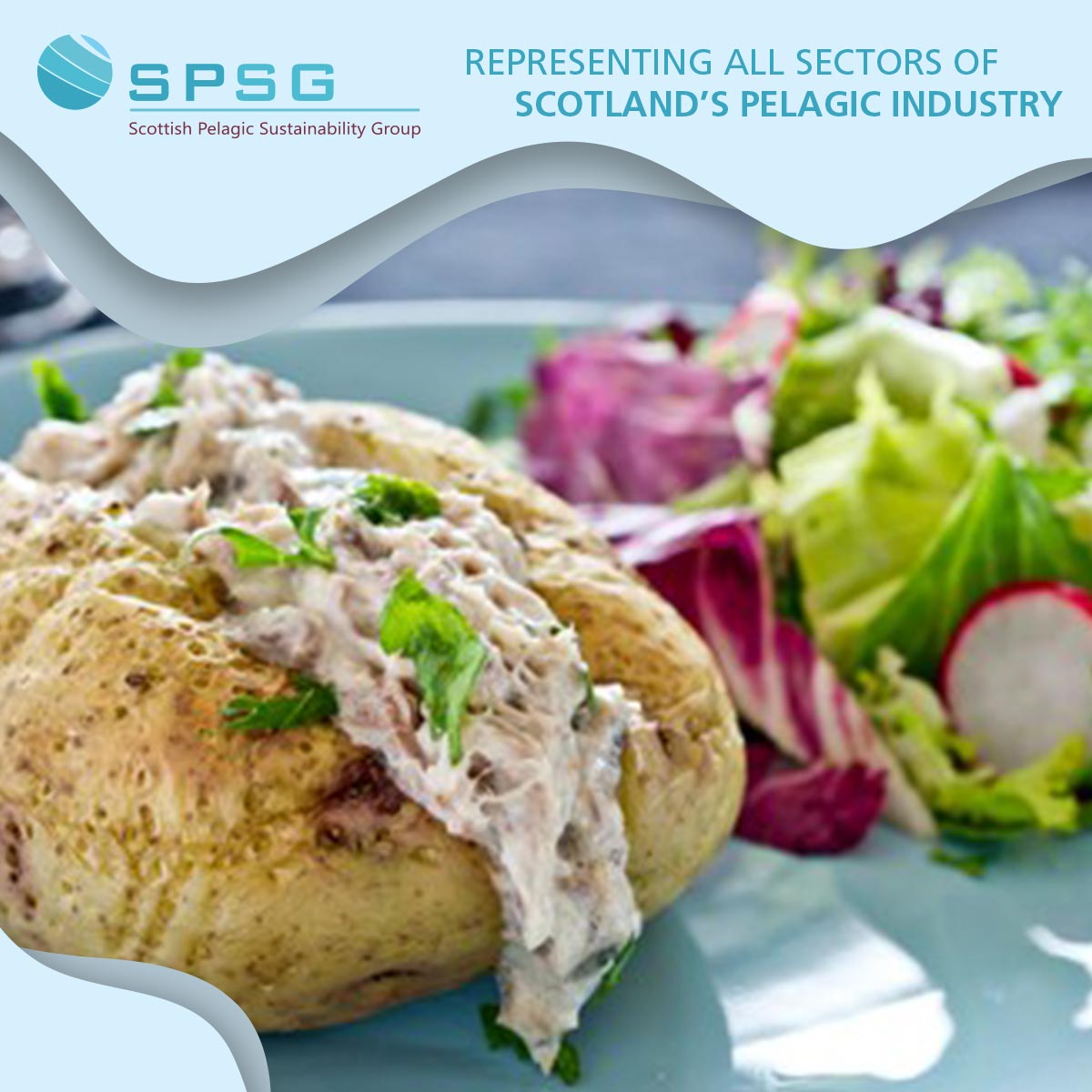 Mackerel and herring are the perfect meal choice for taste, our health and are great value-for-money 

spsg.co.uk

#mackerel #herring #HealthyEating #HeartHealthy #Omega3Rich #EatMoreFish #My2aWeek