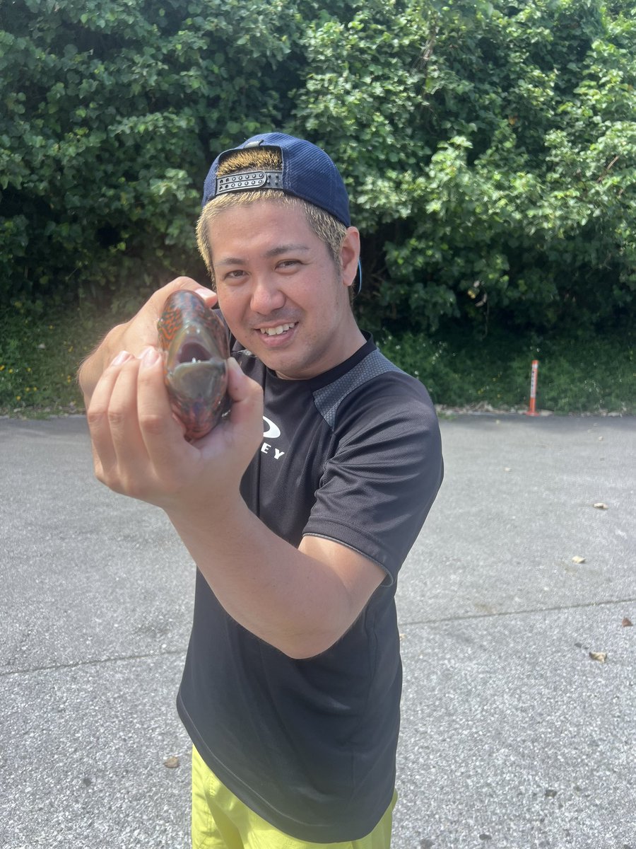 バンバン (@New86617567) / Posts / X