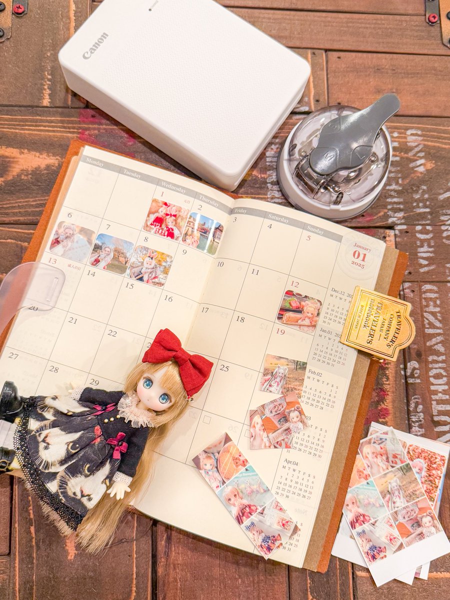 手付かずだったこともゆるゆる進めるよー☺️📓  #トラベラーズノート  #シュガーカップス