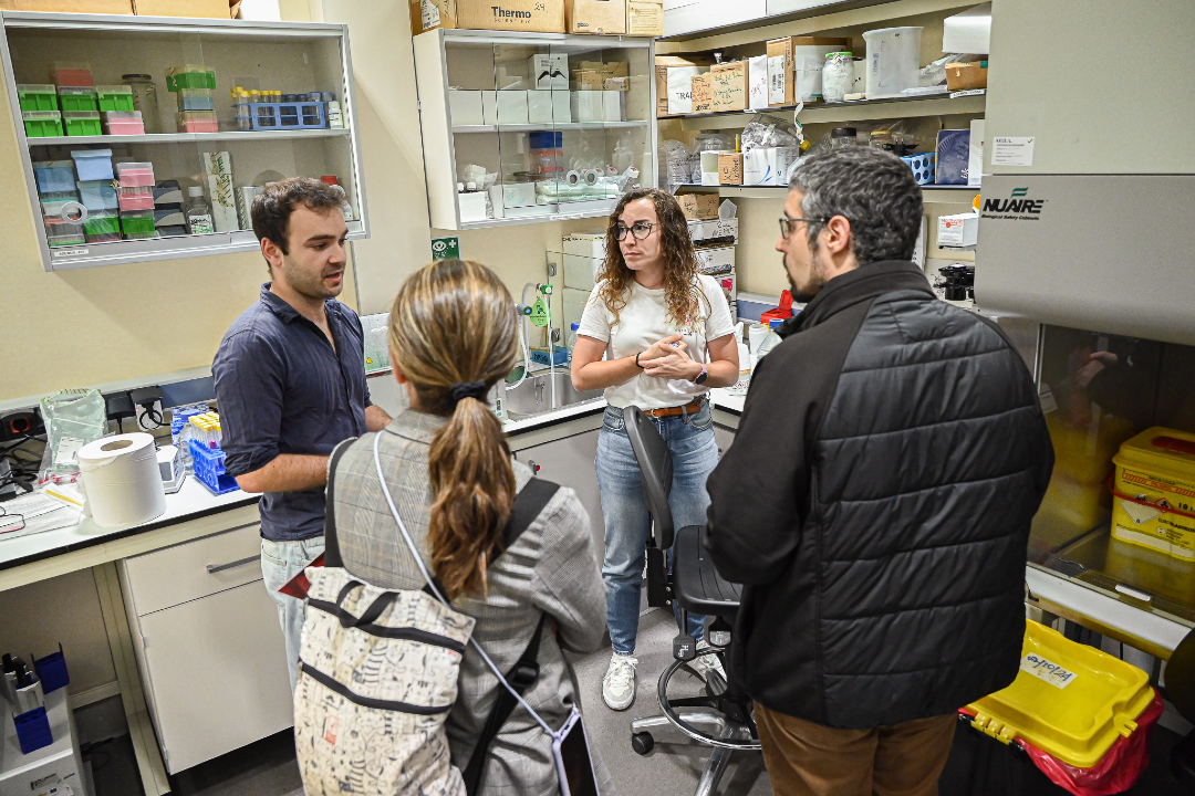 IDIBAPS (@idibaps) on Twitter photo 🆕The <a href="/AFALynch/">AFALynch, asociación familias con #síndromedeLynch</a> Association visits #IDIBAPS to learn about colon and rectal cancer research #CCR
It was presented the researcho f the European project <a href="/STEPUPIORS/">STEPUPIORS</a>, which aims to establish an association of institutions dedicated to rectal cancer
👉f.mtr.cool/yhnvfnbxzs 🆕The <a href="/AFALynch/">AFALynch, asociación familias con #síndromedeLynch</a> Association visits #IDIBAPS to learn about colon and rectal cancer research #CCR
It was presented the researcho f the European project <a href="/STEPUPIORS/">STEPUPIORS</a>, which aims to establish an association of institutions dedicated to rectal cancer
👉f.mtr.cool/yhnvfnbxzs