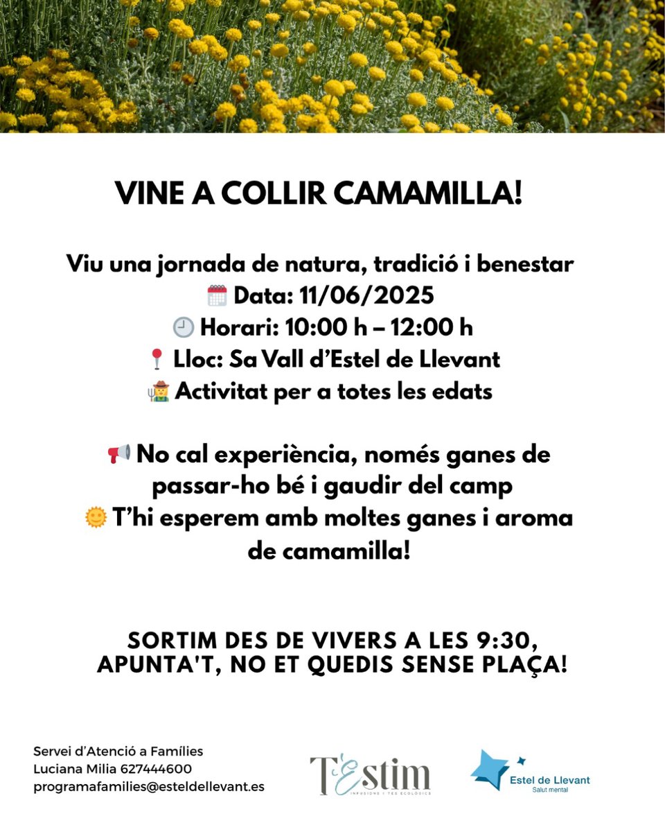 testim_mallorca's tweet photo. 🌼 L’11 de juny vine a collir camamil·la a Sa Vall d’Estel de Llevant!
🕙 10 a 12 h
📍 Activitat oberta a tothom
No cal experiència, només ganes de gaudir de la natura! Apunta't enviant un missatge 672 73 90 92
#elNostreMoment #testim #infusions https://t.co/jOJhHPW8ie
