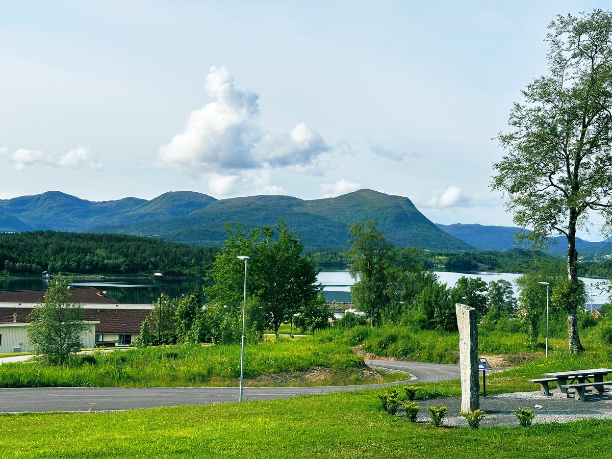 ChilledLuck tweet media