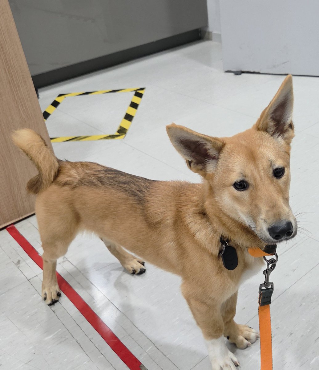 Sunshine Kim☀ tweet media