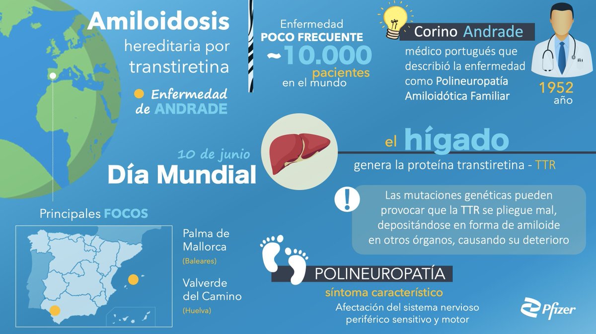 Pfizer España (@pfizer_spain) on Twitter photo 🗓️ 🧬 Nos detenemos con motivo de su Día Mundial en la amiloidosis hereditaria por transtiretina, o #EnfermedadAndrade, una enfermedad genética poco frecuente. Nnuestro compromiso desde Pfizer es con los pacientes y familiares <a href="/FEDER_ONG/">FEDER | Enfermedades Raras</a> <a href="/AndradeBaleares/">Asociación Balear de la Enfermedad de Andrade</a> <a href="/NoInvisibles/">RarasNoInvisibles</a> 🗓️ 🧬 Nos detenemos con motivo de su Día Mundial en la amiloidosis hereditaria por transtiretina, o #EnfermedadAndrade, una enfermedad genética poco frecuente. Nnuestro compromiso desde Pfizer es con los pacientes y familiares <a href="/FEDER_ONG/">FEDER | Enfermedades Raras</a> <a href="/AndradeBaleares/">Asociación Balear de la Enfermedad de Andrade</a> <a href="/NoInvisibles/">RarasNoInvisibles</a>