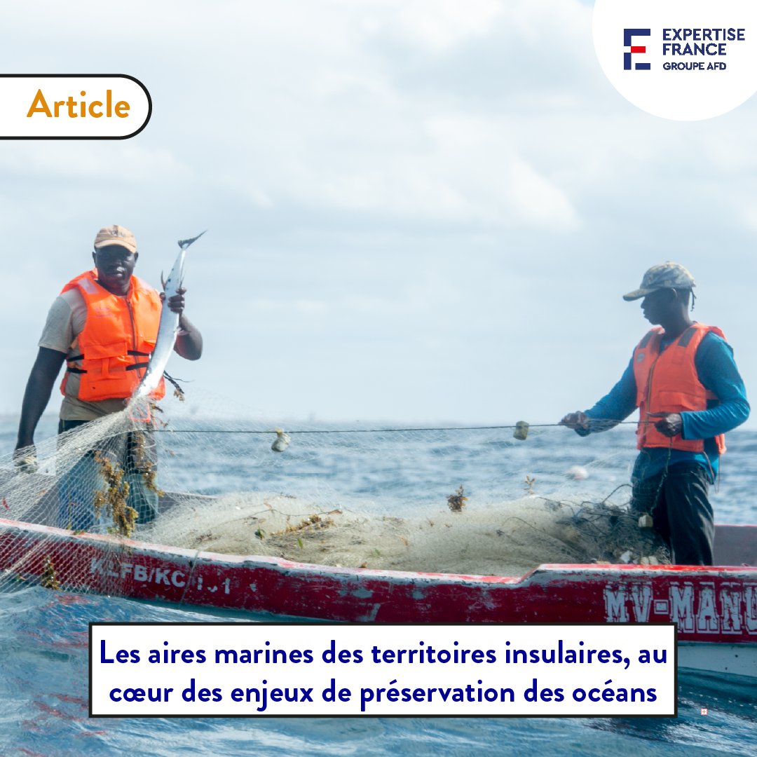 #Article🐠🏝 Les aires marines des territoires insulaires, au cœur des enjeux de préservation des océans 👉tinyurl.com/4p9jzmxs