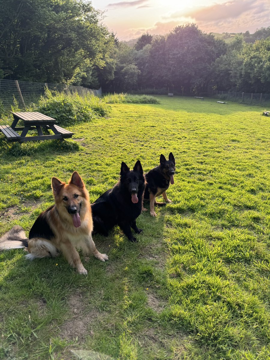 RpdDixie's tweet image. #tongueouttuesday