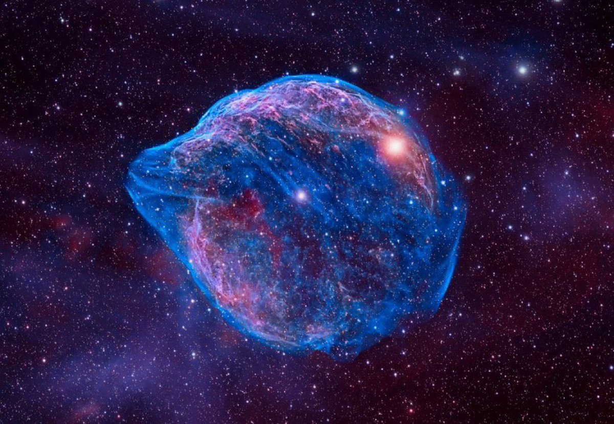 The Dolphin Nebula is a bubble-shaped nebula located in the constellation Canus Major around 5,000 light-years from Earth.

This alluring nebula takes the shape of a dolphin’s head, and was thought to have formed roughly 70,000 years ago. It surrounds a bright Wolf-Rayet star