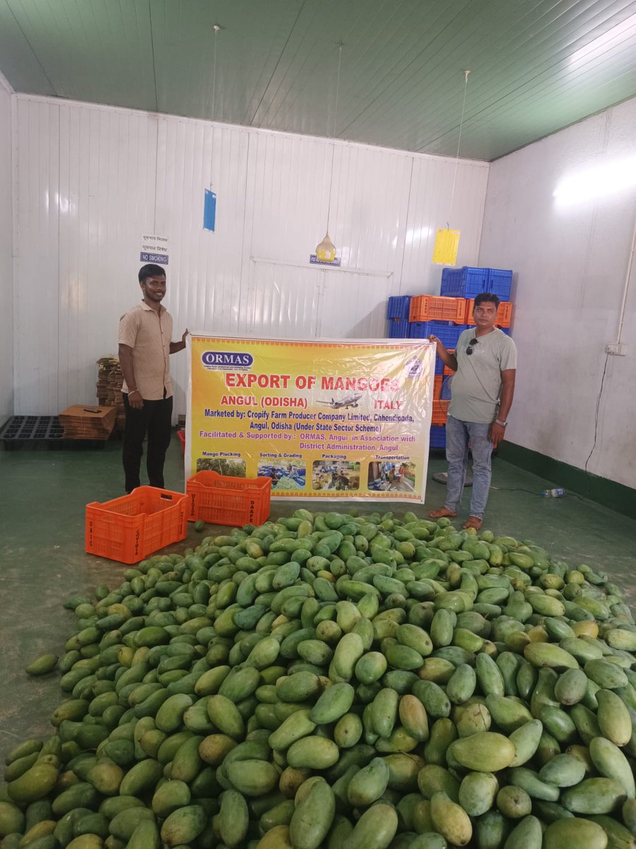 ORMAS, Angul tweet media