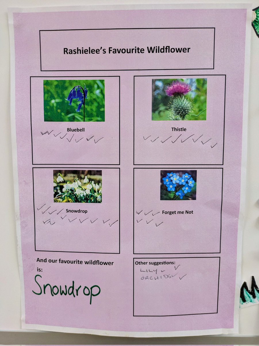 rashielee's tweet image. Today for #30DaysWild, we polled everyone on which wildflower is their favourite...the snowdrop won!
We also found a wildflower in the garden that we didn&apos;t recognise but we used tech and gardener&apos;s wisdom to discover it&apos;s borage! #curiousity