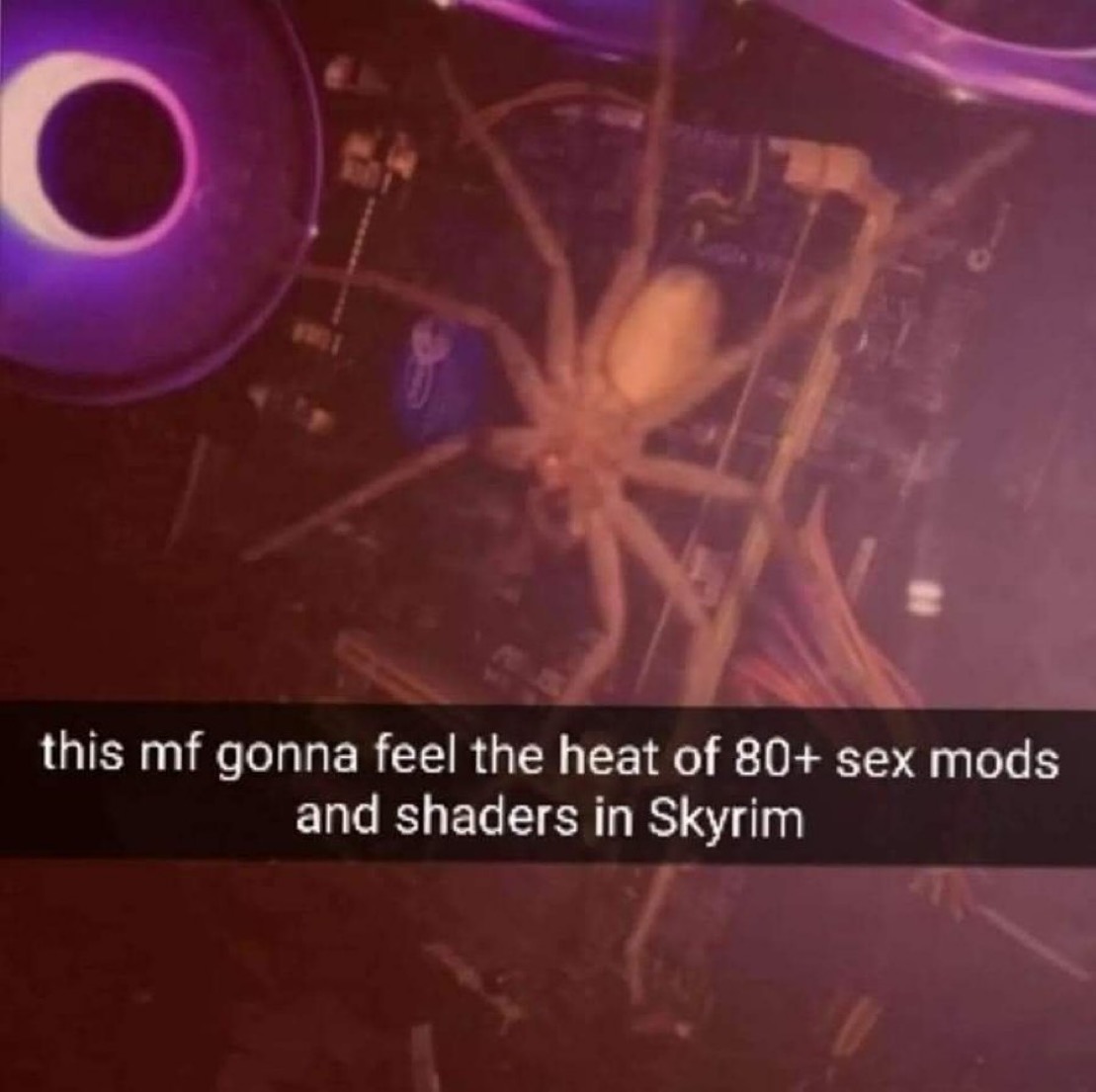 no context memes (@weirddalle) on Twitter photo 