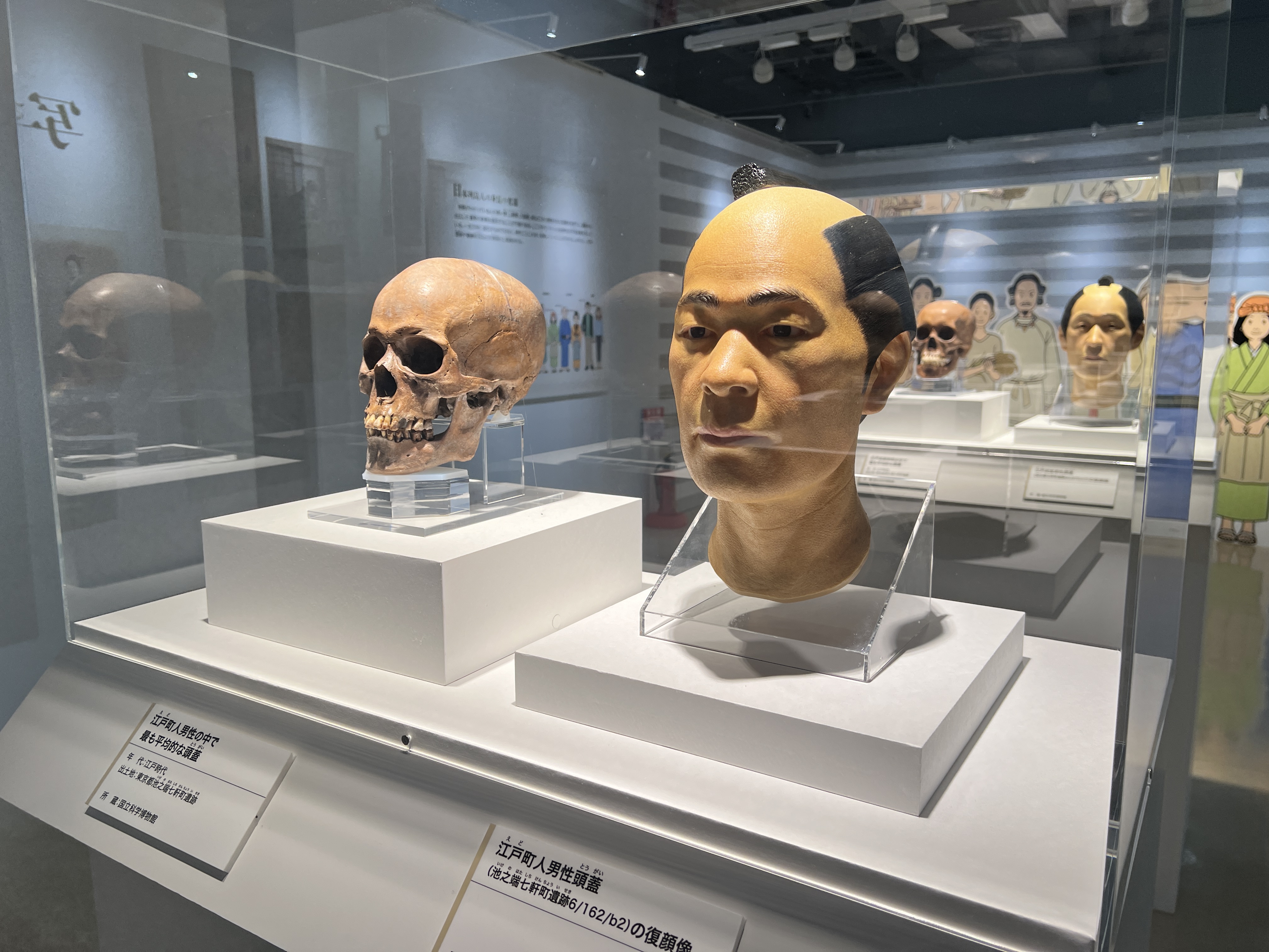 夏休み向けの特別展「昆虫」が13日、国立科学博物…：特別展