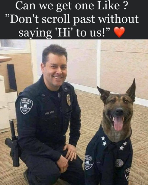 Beyond The Leash tweet media