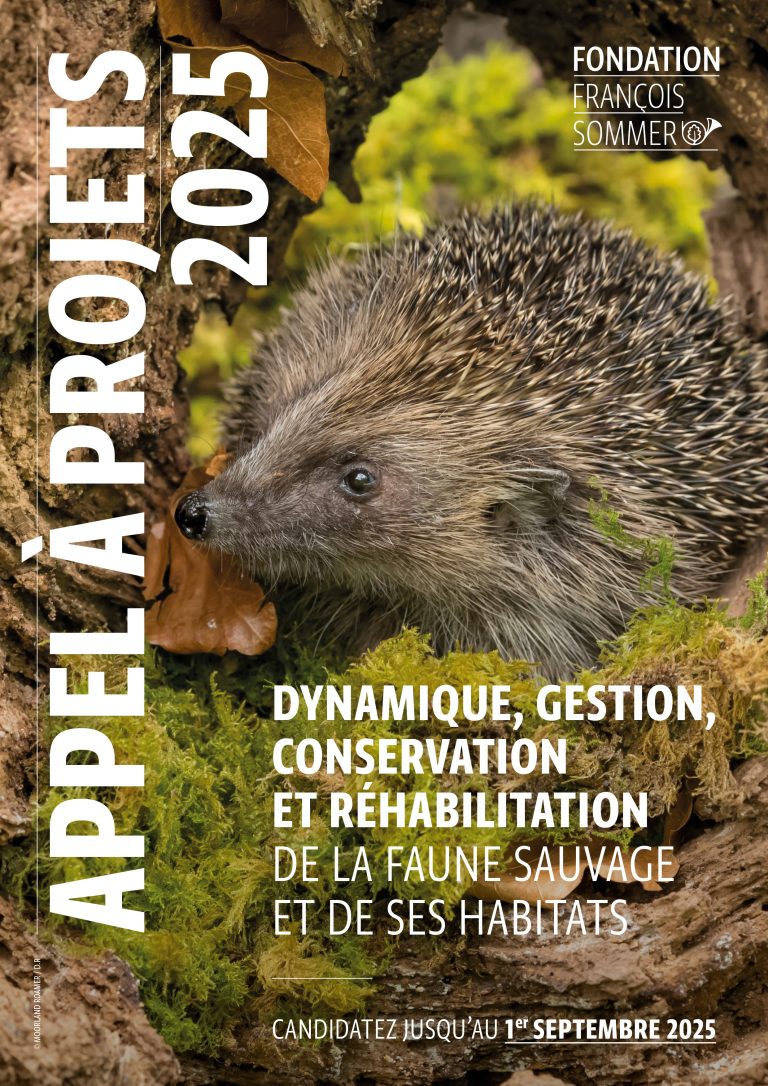 European Landowners' Organization (@eulandownersorg) on Twitter photo 🦌 2025 Call for Projects <a href="/FondationSommer/">Fondation François Sommer</a>
Are you working on an applied research project for the conservation and restoration of wildlife and its habitats? This funding opportunity is tailored for associations, research institutions, companies, and federations driving 🦌 2025 Call for Projects <a href="/FondationSommer/">Fondation François Sommer</a>
Are you working on an applied research project for the conservation and restoration of wildlife and its habitats? This funding opportunity is tailored for associations, research institutions, companies, and federations driving