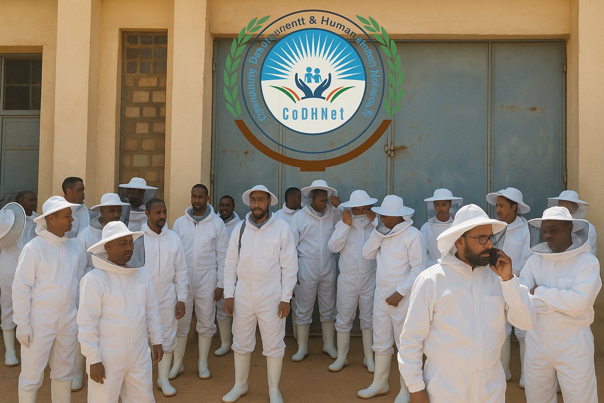 CODHNET's tweet image. CoDHNet distributed protective beekeeping suits to 40 Jinaay farmers in #Baidoa to support sustainable livelihoods &amp;amp; climate-smart agriculture 🐝🌿

Thanks to diaspora support, these farmers are now equipped to start honey production safely!

#FoodSecurity #Resilience #Beekeeping