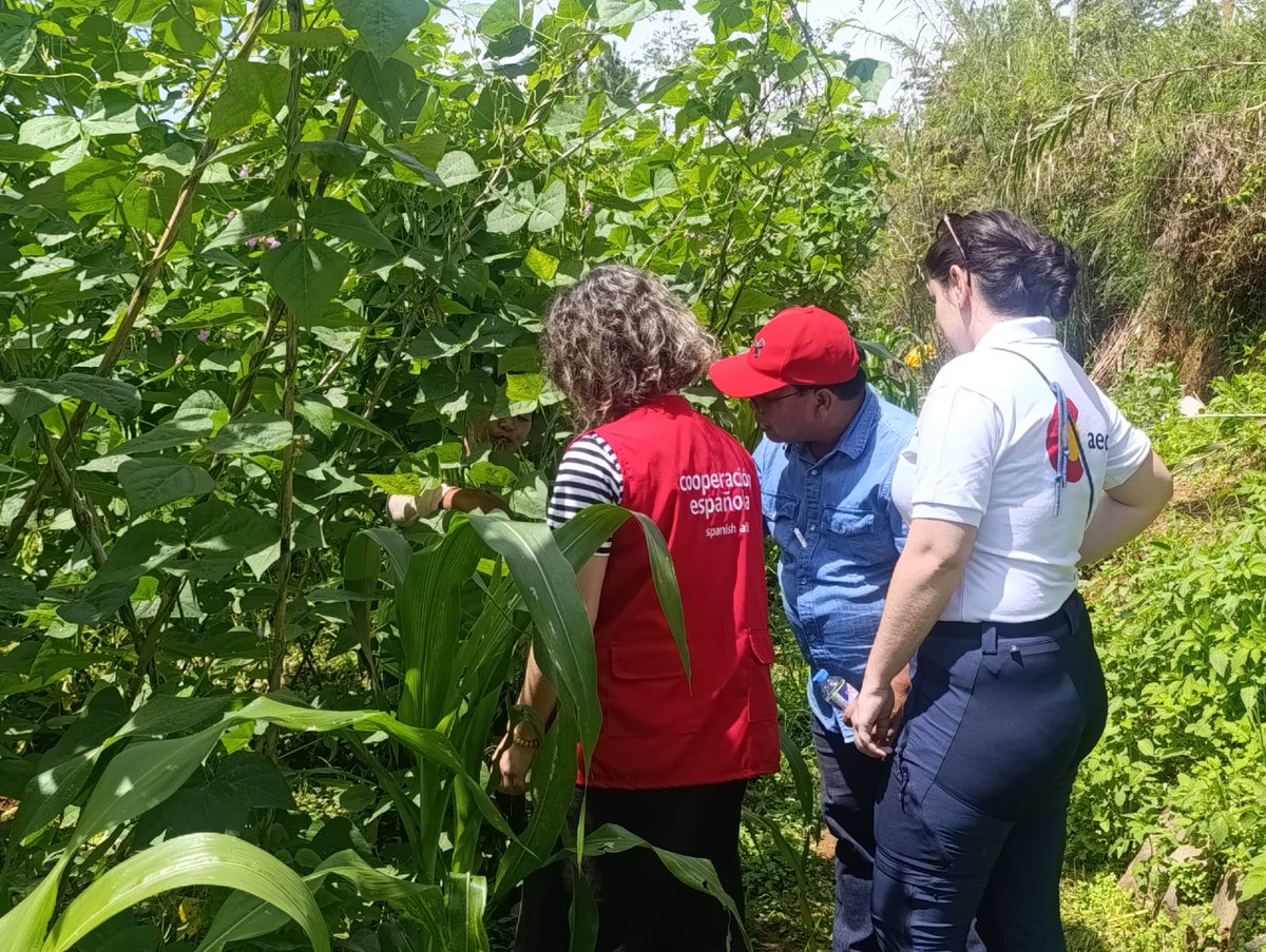 Last May 27 and 28, representatives from AECID (Spanish Agency for International Development Cooperation) and Cáritas Española visited project sites in Barangays Tuel (Tublay) and Sagpat (Kibungan), Benguet, as part of their support for the Green Luzon Project.