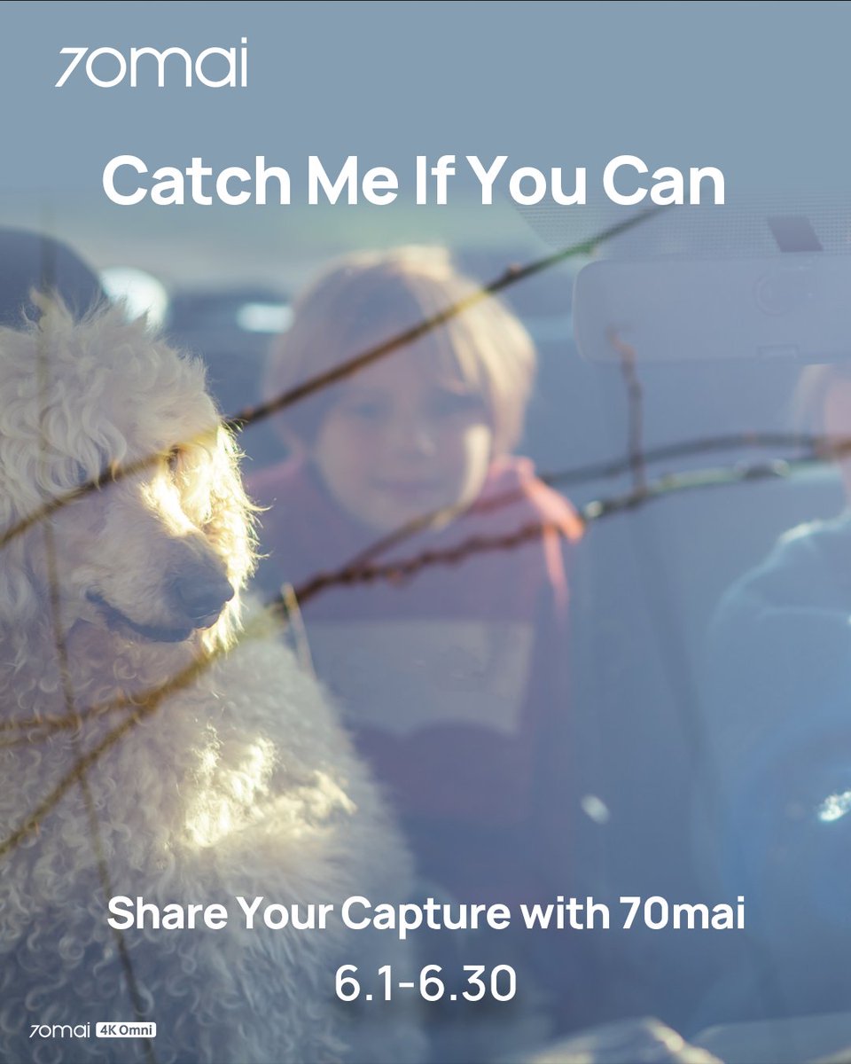 70mai_official's tweet photo. 🎬 70mai Footage Giveaway Campaign ✨ 𝐂𝐀𝐓𝐂𝐇 𝐌𝐄 𝐈𝐅 𝐘𝐎𝐔 𝐂𝐀𝐍 ✨ is in full swing!
Got epic dash cam moments? Share now for a chance to win from a $3,000 prize pool 💰
📌 How to join:
Post your footage on IG/FB/X with hashtags
👉 #DriveWith70mai #CatchMeIfYouCan
Or upload it directly to our website: https://t.co/1KlwxDS0xR

Let your dash cam moments shine!
#70maiMoments #Pet #OnTheRoad #RoadTrip #dashcam
