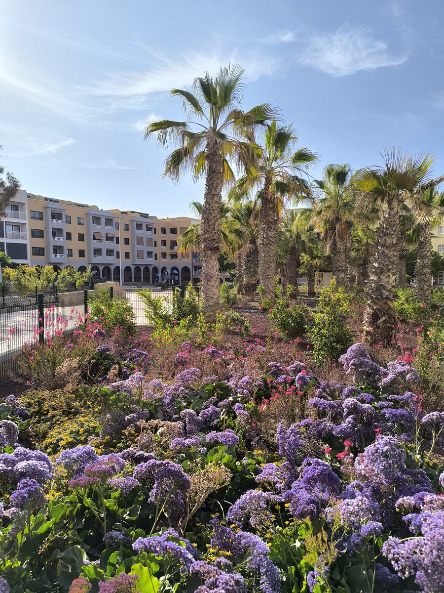 leodesinquieto's tweet photo. Medaneando🪻 #granadilla #tenerife #islascanarias 
.
.
@granadillaabona @MuchoXdescubrir @VisitTenerifeES #somostenerife @TurismCanarias #elmedano #leodesinquieto #loquepidaelcuerpo 😎 https://t.co/UOL8H24wQK