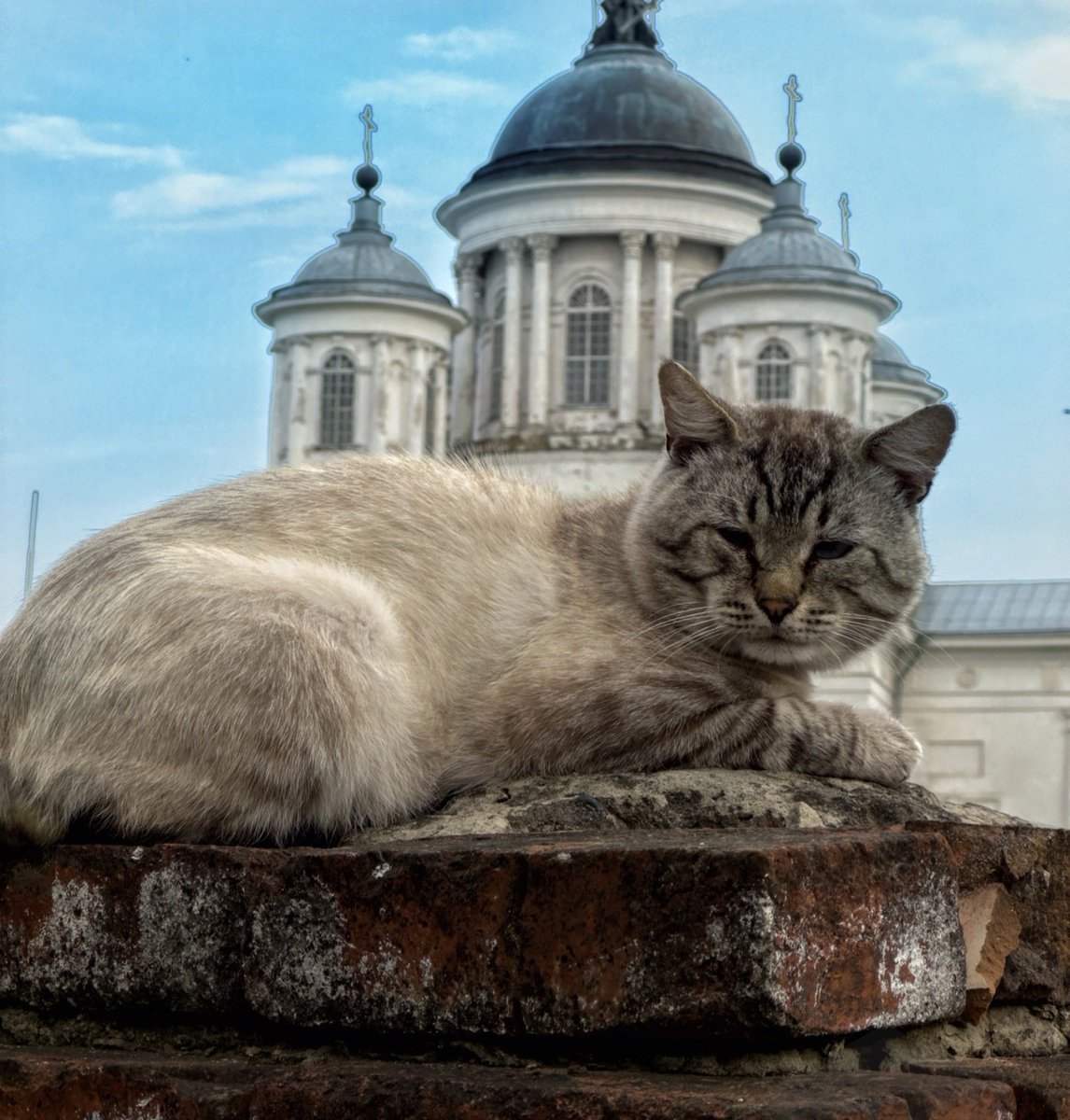 Лысково

фото прислал пользователь с ником Тихий Омут