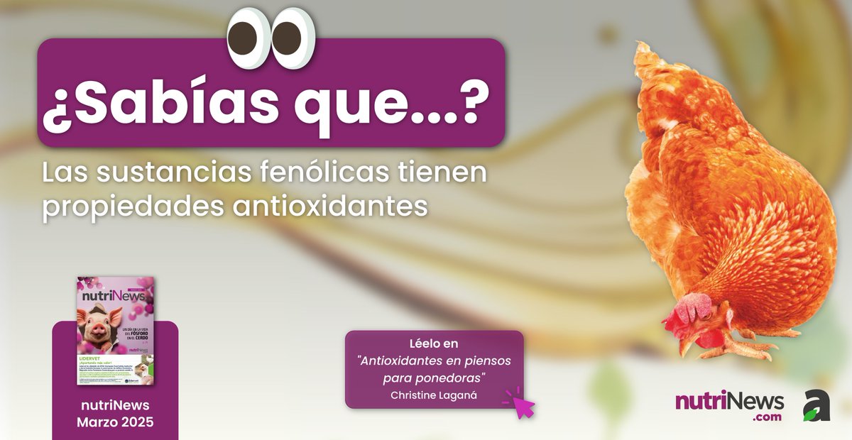 ¡Así es! Las sustancias fenólicas, productos del metabolismo secundario de las plantas encontradas en los tejidos vegetales, se desenvuelven como agentes de oxidación-reducción, contribuyendo a la neutralización de los radicales libres en el organismo 🌱

Léelo en 🔗