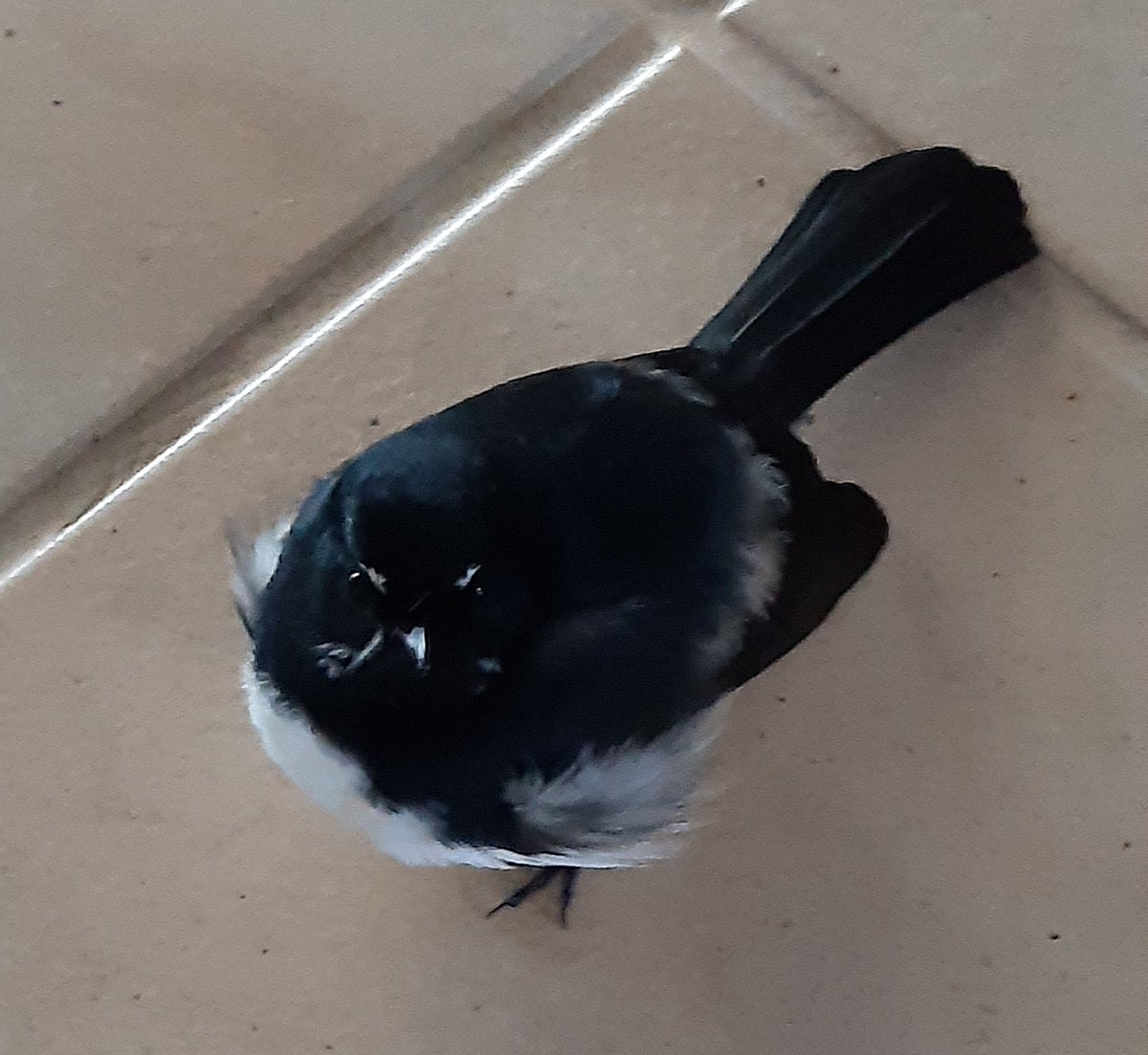 Baby it's cold  outside!