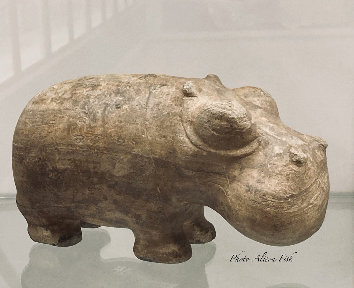 AlisonFisk's tweet photo. Charming ancient Egyptian figurine of a hippopotamus carved from calcite some 5,000 years ago! 🦛❤️

Ny Carlsberg Glyptotek 📷 by me

#Archaeology https://t.co/YtwGfAJ7ft