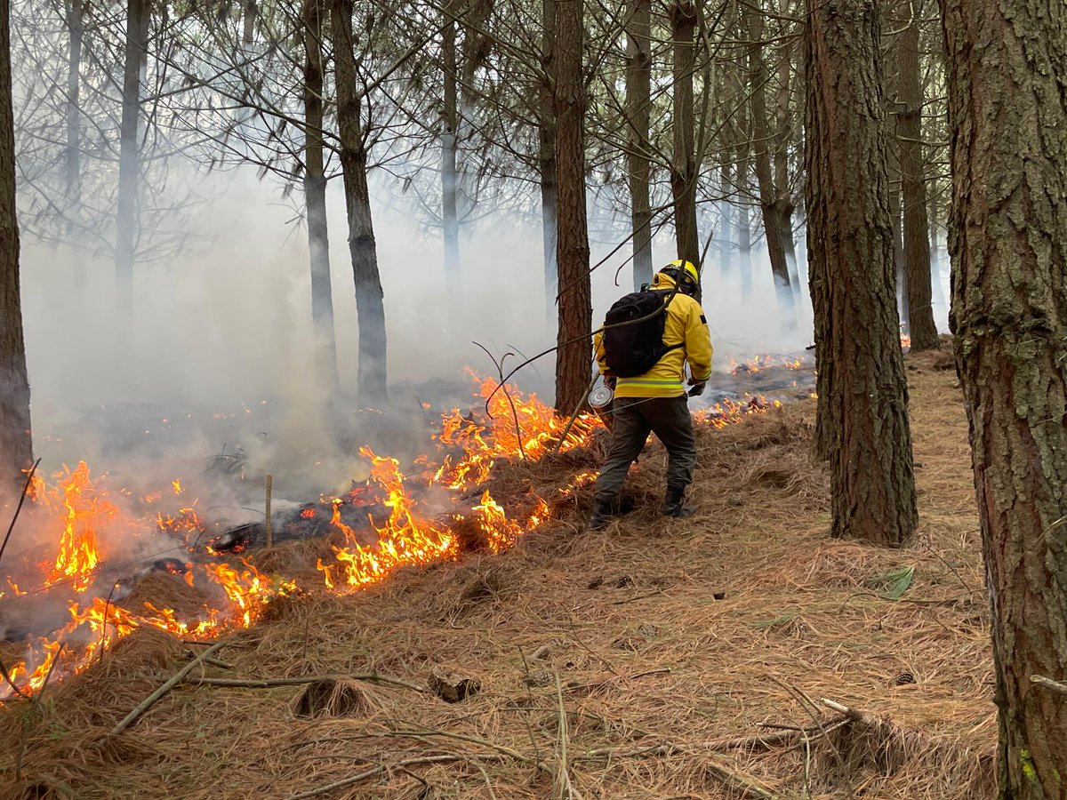 #EGIIF_Ecuador Esta semana estamos en la región de 📍Cotacachi, realizando un curso de manejo del fuego técnico en el que hemos implementado distintas quemas en diferentes escenarios.
👉Aprendiendo a utilizar diferentes técnicas de ignición para la gestión del combustible y
